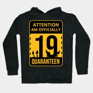 19th Birthday Officially a quarantined adult 19 Years Old Hoodie